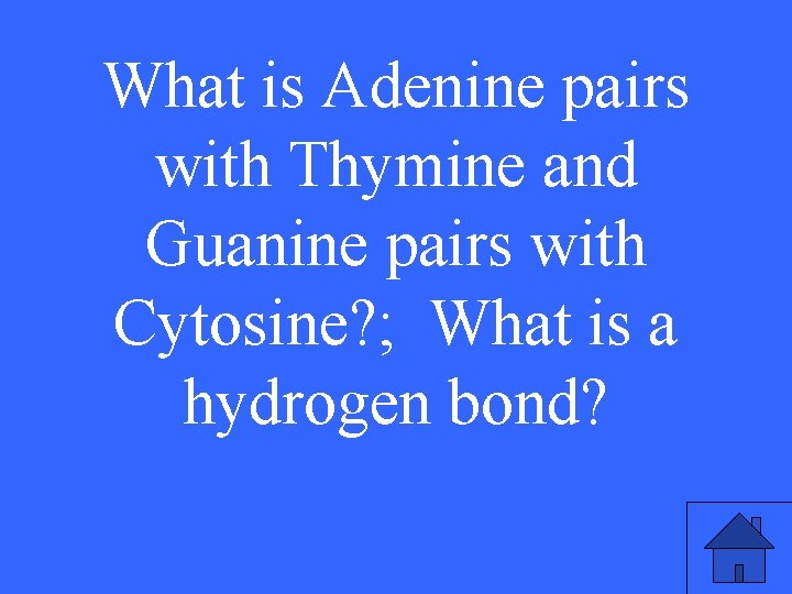 What is Adenine pairs with Thymine and Guanine pairs with Cytosine? ; What is