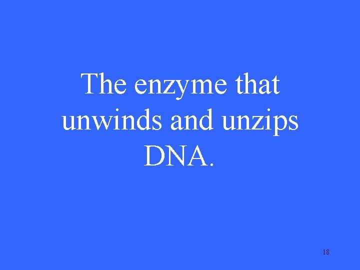 The enzyme that unwinds and unzips DNA. 18 