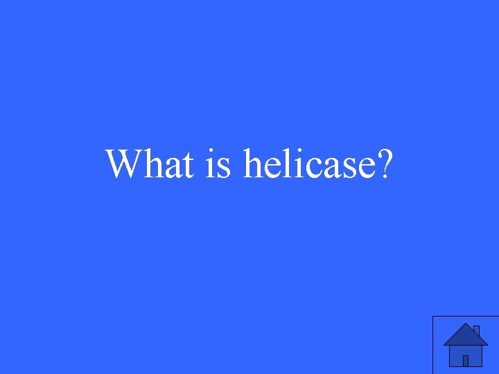 What is helicase? 19 