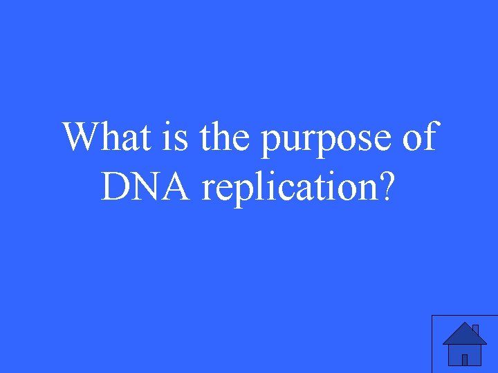 What is the purpose of DNA replication? 35 