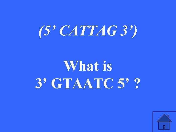 (5’ CATTAG 3’) What is 3’ GTAATC 5’ ? 37 