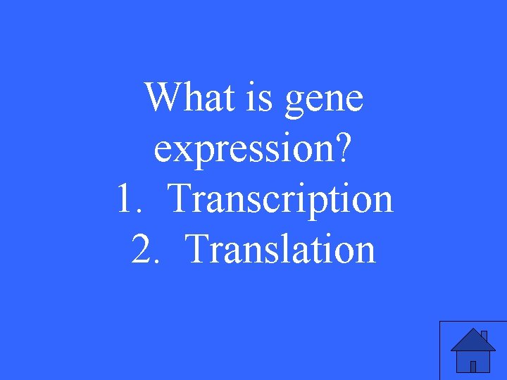 What is gene expression? 1. Transcription 2. Translation 39 