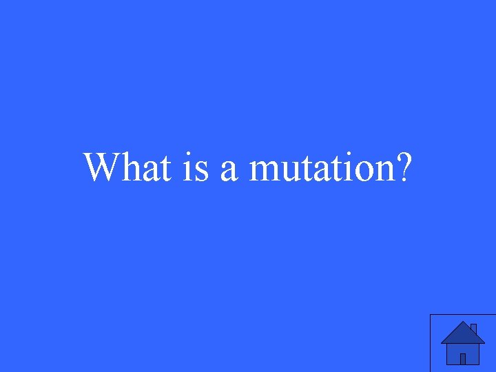 What is a mutation? 43 