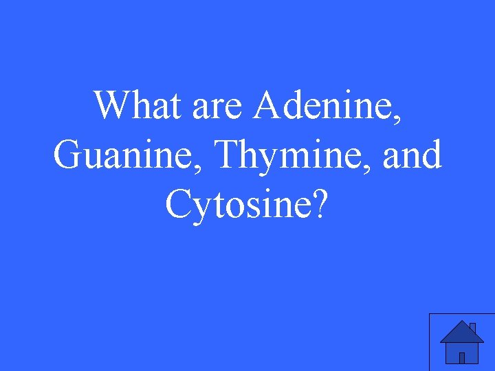 What are Adenine, Guanine, Thymine, and Cytosine? 7 