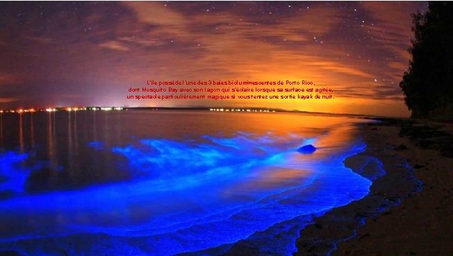 L’île possède l’une des 3 baies bioluminescentes de Porto Rico, dont Mosquito Bay avec