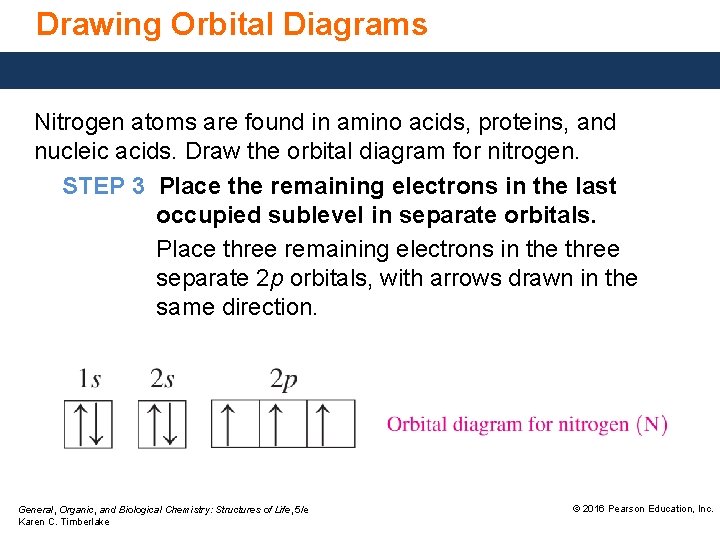 Drawing Orbital Diagrams Nitrogen atoms are found in amino acids, proteins, and nucleic acids.
