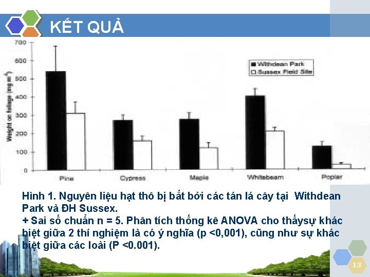 KẾT QUẢ Hình 1. Nguyên liệu hạt thô bị bắt bởi các tán lá