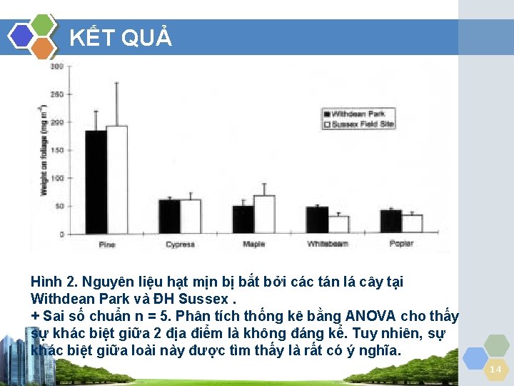 KẾT QUẢ Hình 2. Nguyên liệu hạt mịn bị bắt bởi các tán lá