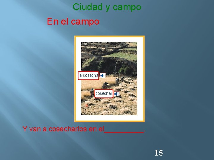 Ciudad y campo En el campo la cosechar Y van a cosecharlos en el_____.