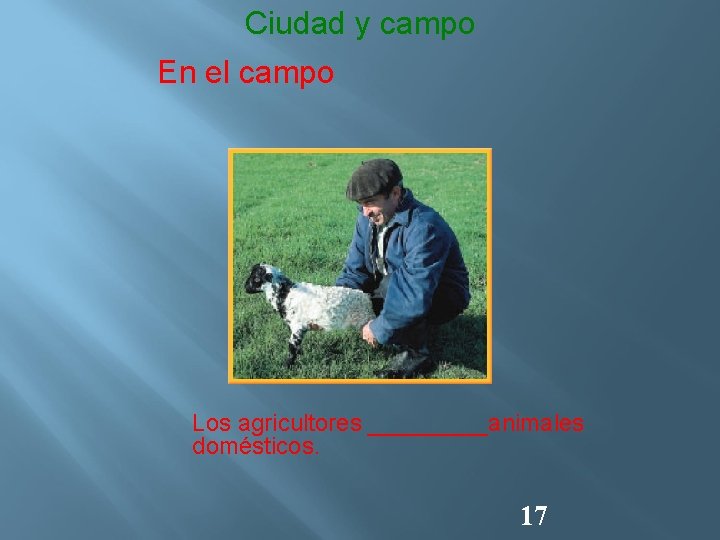 Ciudad y campo En el campo Los agricultores _____animales domésticos. 17 