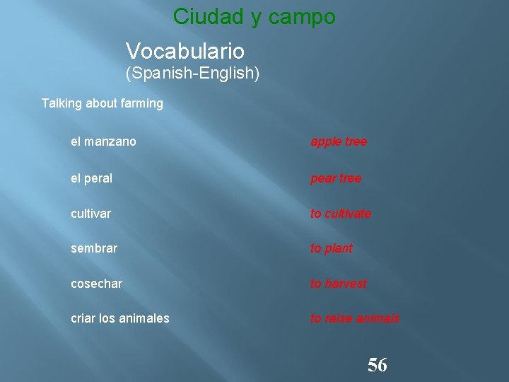 Ciudad y campo Vocabulario (Spanish-English) Talking about farming el manzano apple tree el peral