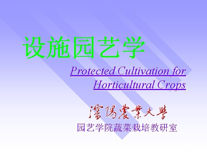Protected Cultivation for Horticultural Crops 园艺学院蔬菜栽培教研室 1 
