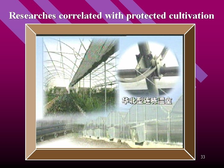 Researches correlated with protected cultivation 33 