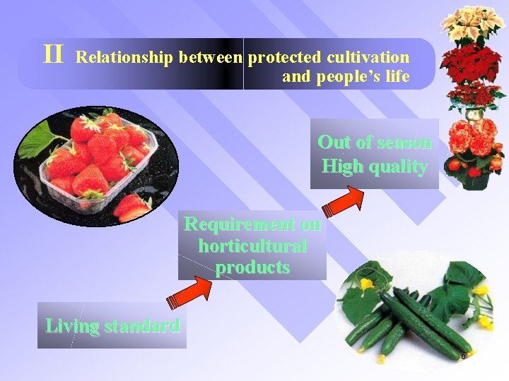 II Relationship between protected cultivation and people’s life Out of season High quality Requirement