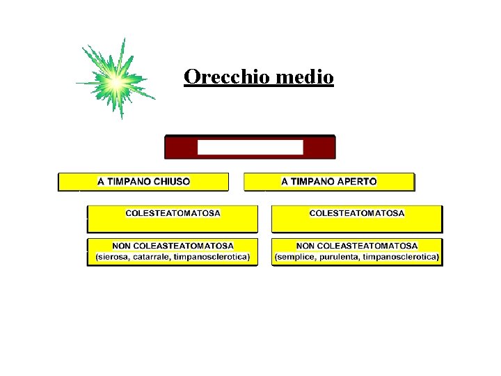 Orecchio medio 