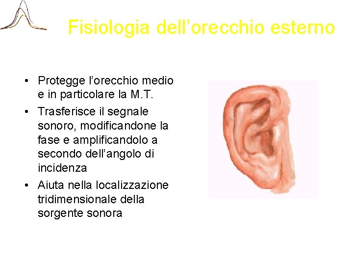 Fisiologia dell’orecchio esterno • Protegge l’orecchio medio e in particolare la M. T. •