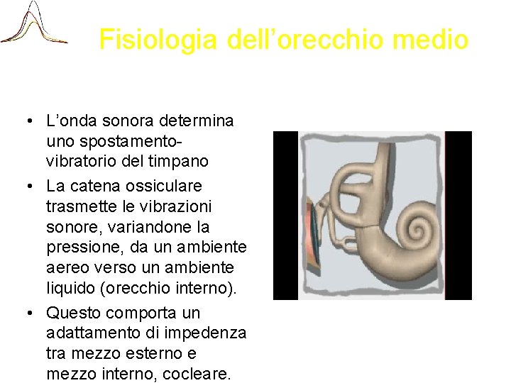 Fisiologia dell’orecchio medio • L’onda sonora determina uno spostamentovibratorio del timpano • La catena