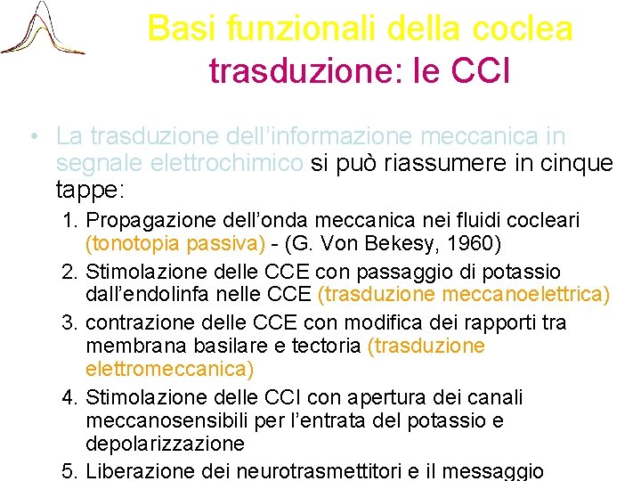 Basi funzionali della coclea trasduzione: le CCI • La trasduzione dell’informazione meccanica in segnale