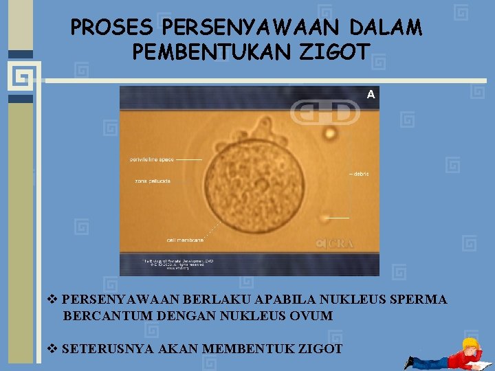 Ilmu Perkembangan Gerak Sains Dinamis Progresif Profesi Psikologi