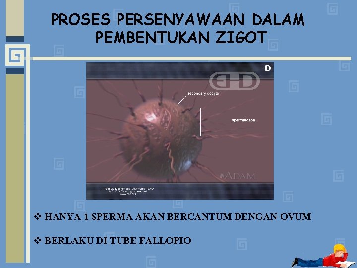 Asas Proses Persenyawaan