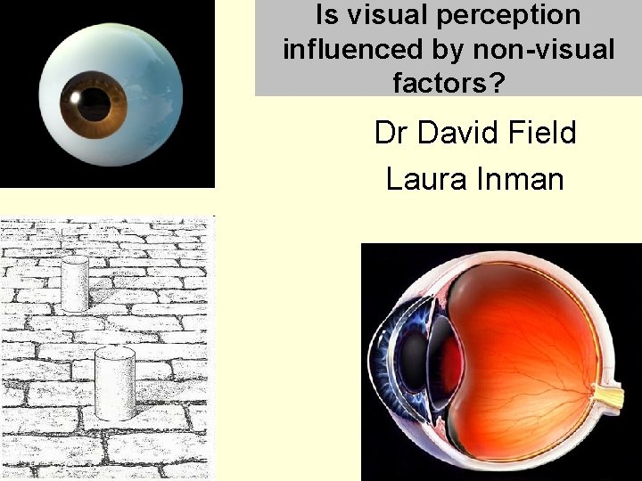 Is visual perception influenced by non-visual factors? Dr David Field Laura Inman 