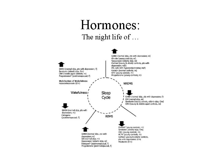 Hormones: The night life of … 