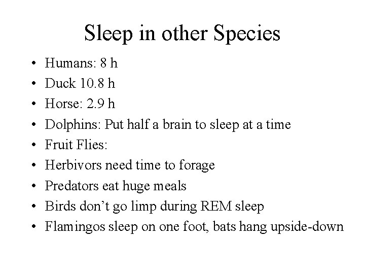 Sleep in other Species • • • Humans: 8 h Duck 10. 8 h