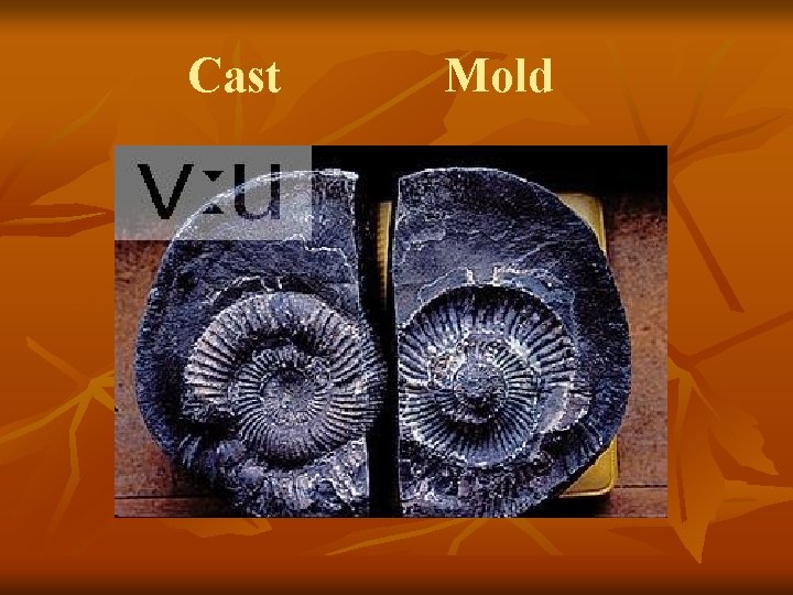 Cast Mold 