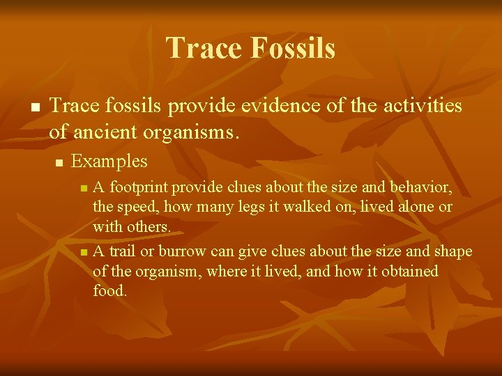 Trace Fossils n Trace fossils provide evidence of the activities of ancient organisms. n