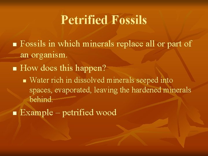 Petrified Fossils n n Fossils in which minerals replace all or part of an