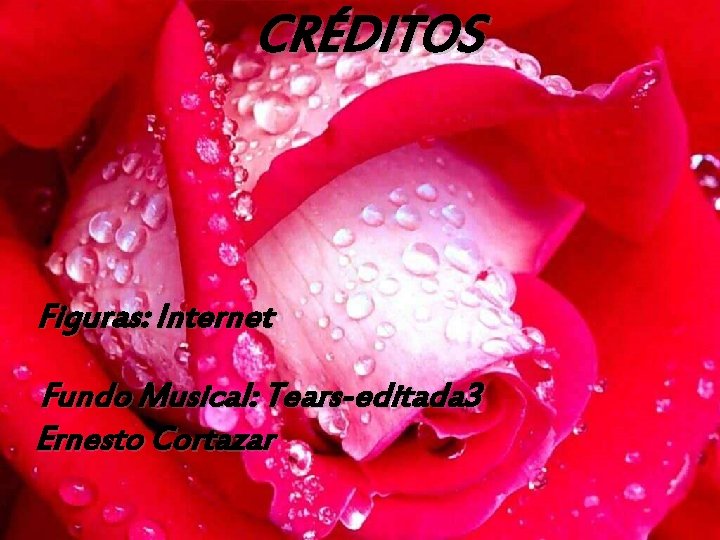 CRÉDITOS Figuras: Internet Fundo Musical: Tears-editada 3 Ernesto Cortazar 