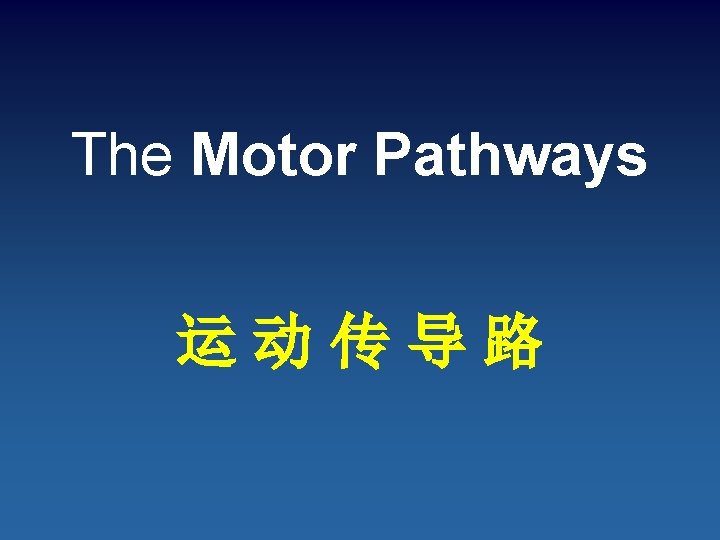 The Motor Pathways 运动传导路 