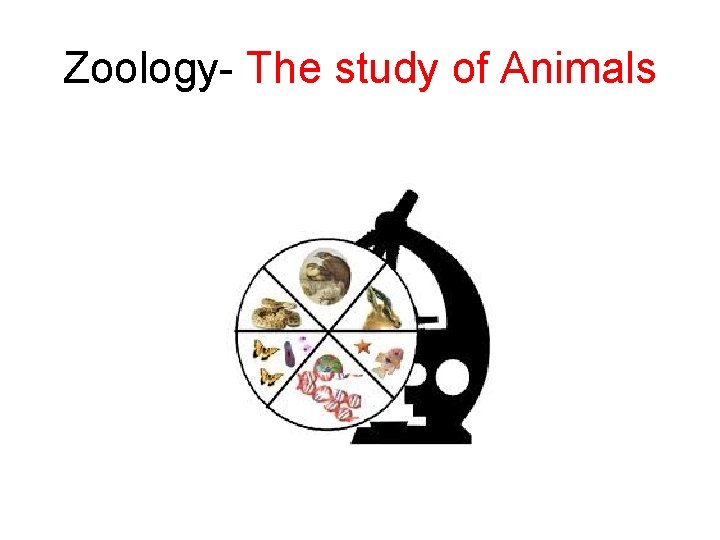 Zoology- The study of Animals 