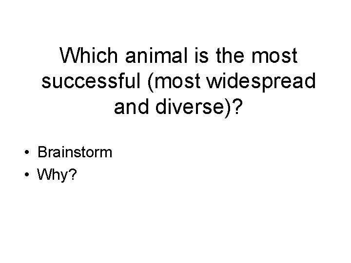 Which animal is the most successful (most widespread and diverse)? • Brainstorm • Why?