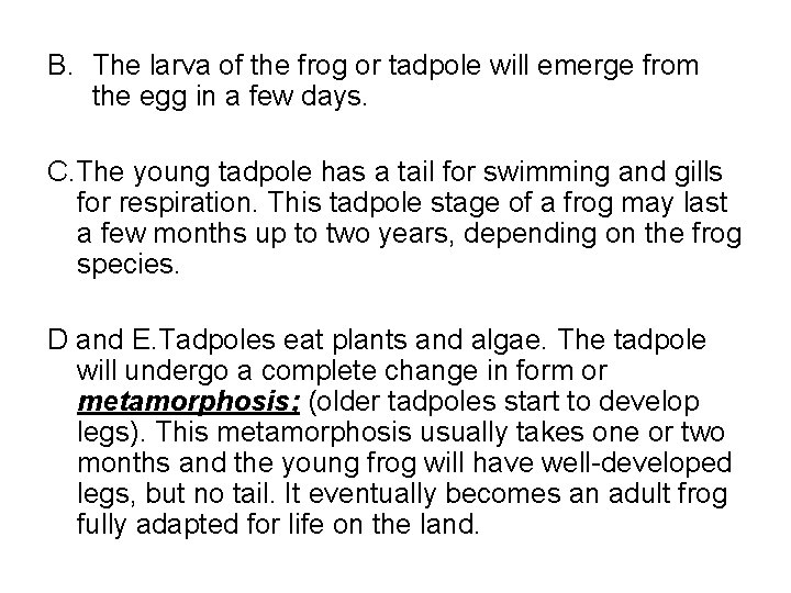 B. The larva of the frog or tadpole will emerge from the egg in