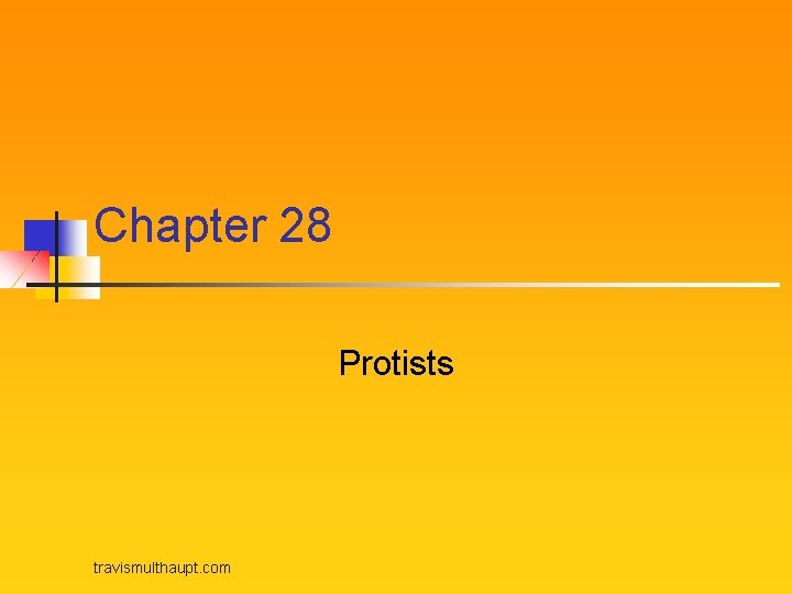 Chapter 28 Protists travismulthaupt. com 