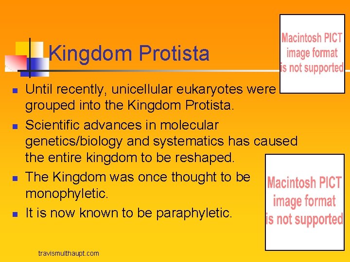 Kingdom Protista n n Until recently, unicellular eukaryotes were grouped into the Kingdom Protista.