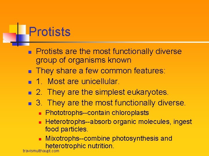 Protists n n n Protists are the most functionally diverse group of organisms known