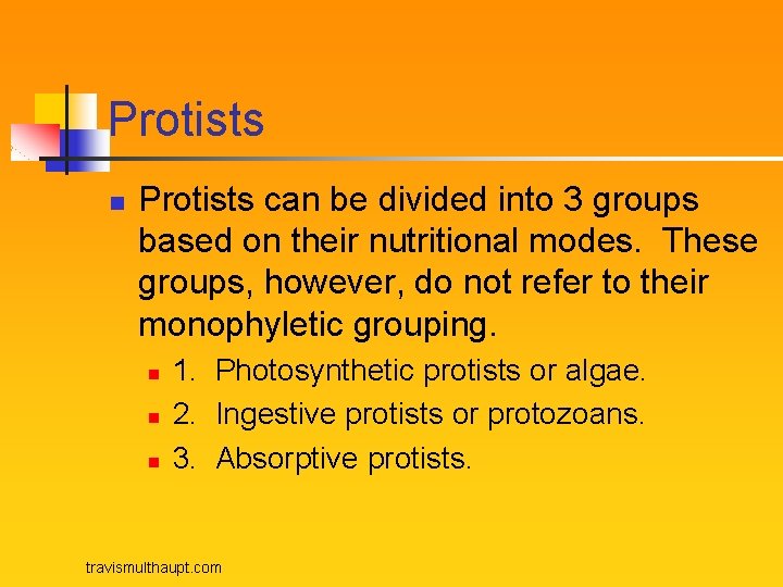 Protists n Protists can be divided into 3 groups based on their nutritional modes.