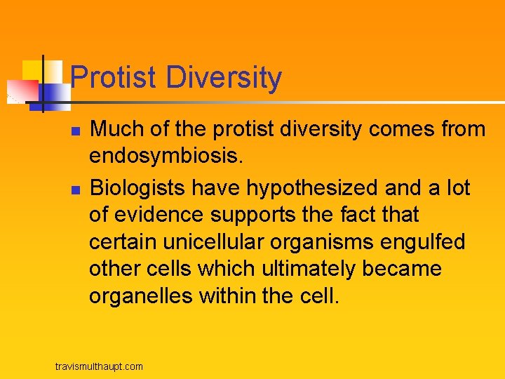 Protist Diversity n n Much of the protist diversity comes from endosymbiosis. Biologists have