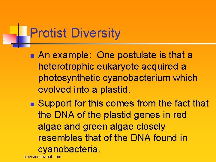 Protist Diversity n n An example: One postulate is that a heterotrophic eukaryote acquired