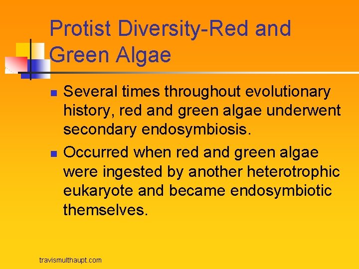 Protist Diversity-Red and Green Algae n n Several times throughout evolutionary history, red and