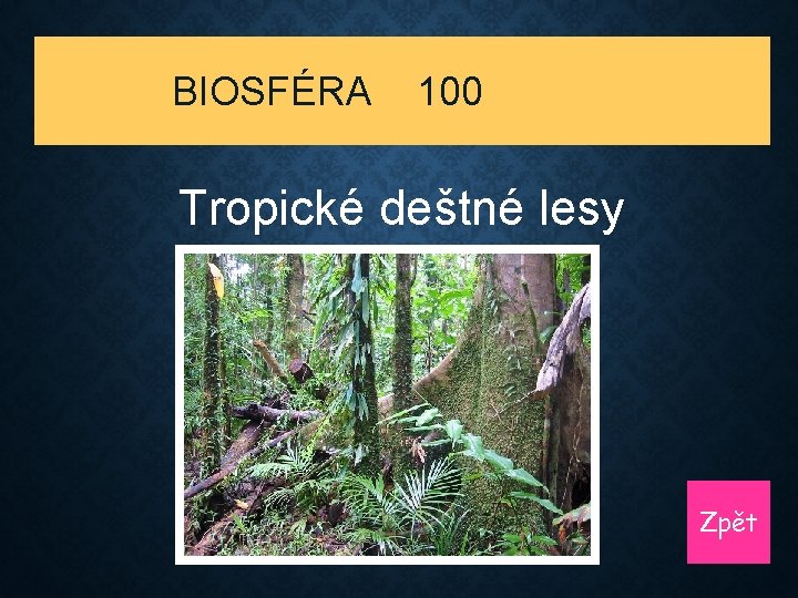 BIOSFÉRA 100 Tropické deštné lesy Zpět 