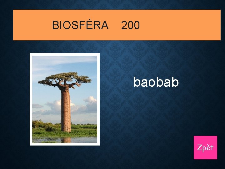 BIOSFÉRA 200 baobab Zpět 