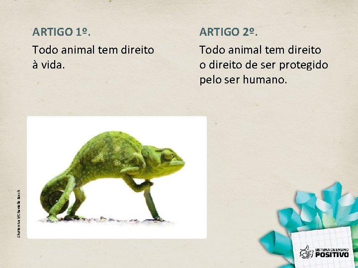 Shutterstock/Chantelle Bosch ARTIGO 1º. Todo animal tem direito à vida. ARTIGO 2º. Todo animal