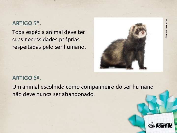 ARTIGO 6º. Um animal escolhido companheiro do ser humano não deve nunca ser abandonado.