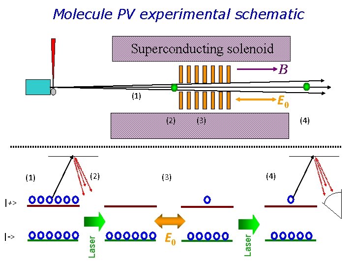 Molecule PV experimental schematic Superconducting solenoid B (1) E 0 (2) (1) (2) (3)