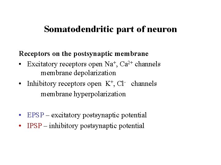 Somatodendritic part of neuron Receptors on the postsynaptic membrane • Excitatory receptors open Na+,