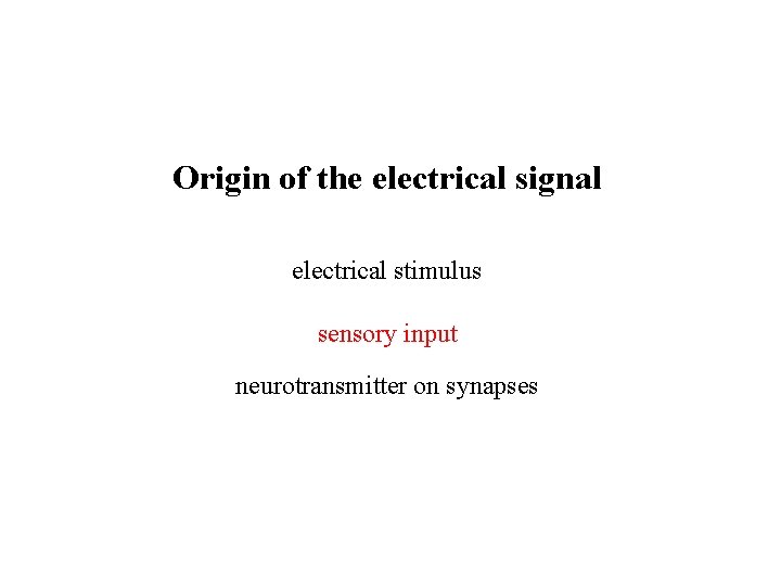 Origin of the electrical signal electrical stimulus sensory input neurotransmitter on synapses 