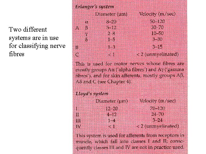 Two different systems are in use for classifying nerve fibres 